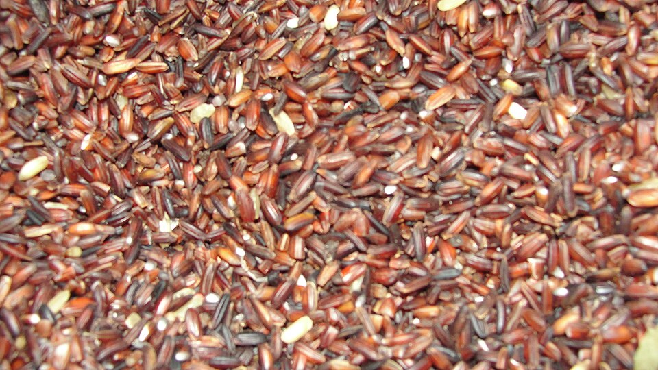 Kavuni