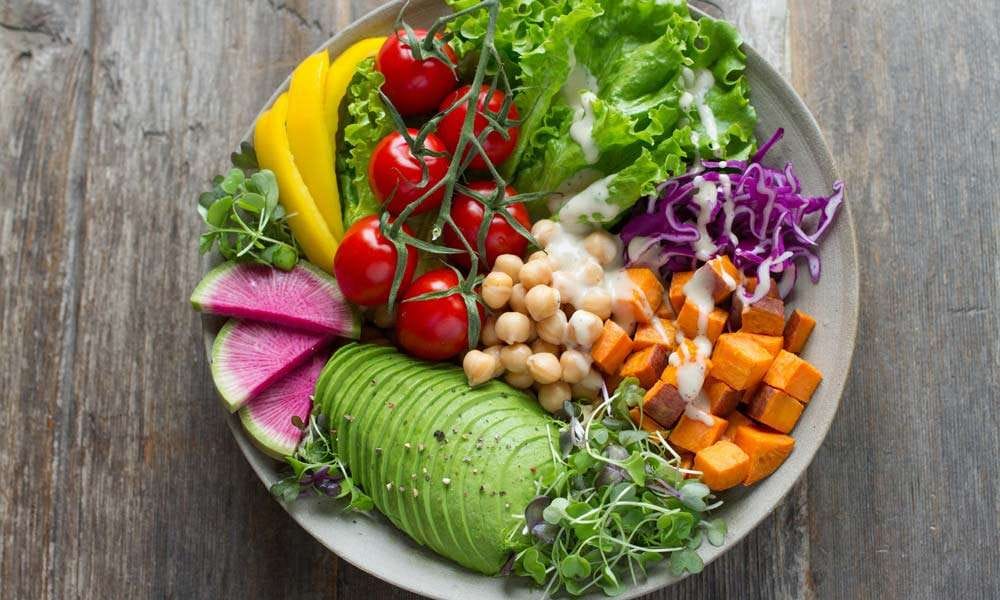 A Plant-Based Diet and its Benefits